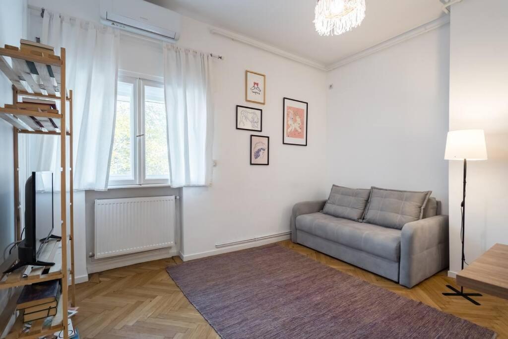 Downtown Cozy Apartment Old Town Bukareszt Zewnętrze zdjęcie